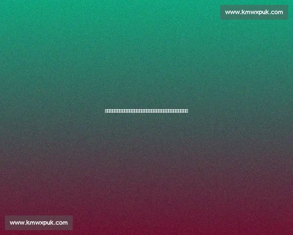 奥兰多主场迎战西雅图火花激荡的强强对话之夜季后赛前景与战术博弈全解析