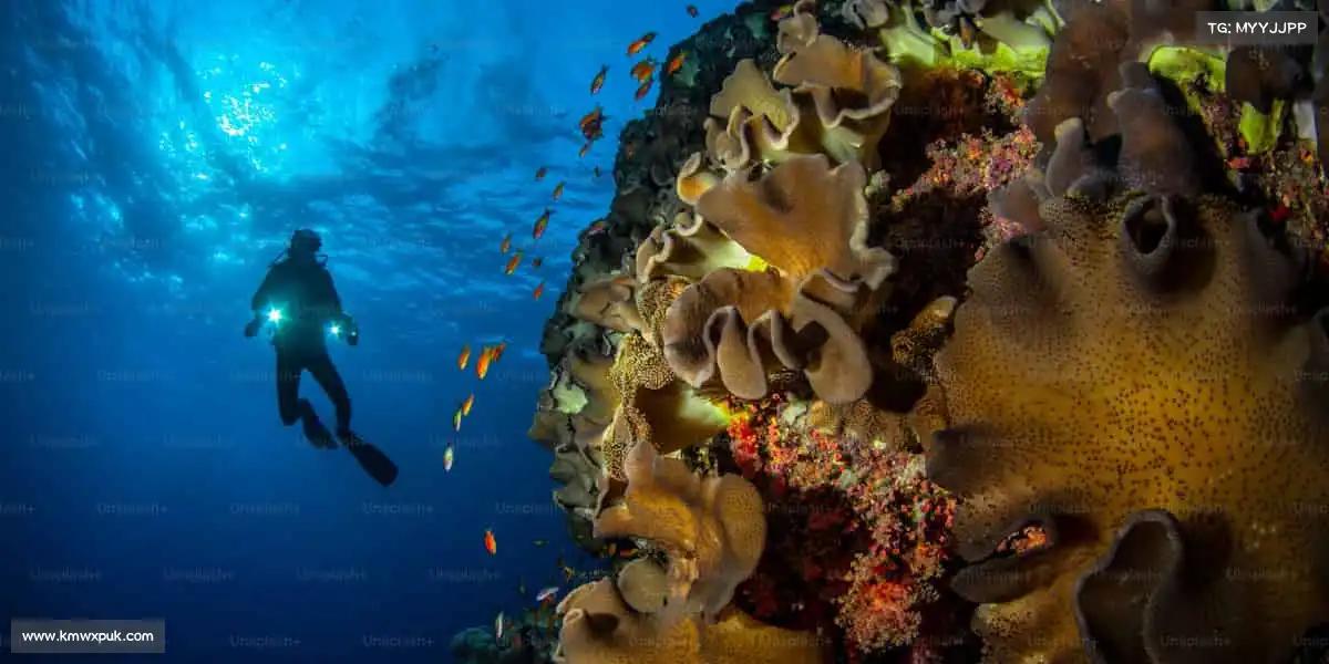 milan米兰体育无关输赢，热爱即是最好的理由，动起来就现在！🌟🏊